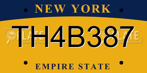 TH4B387 New York License Plate