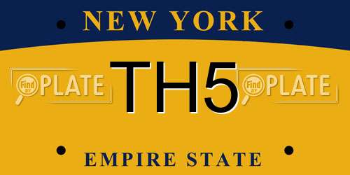 TH5 New York License Plate