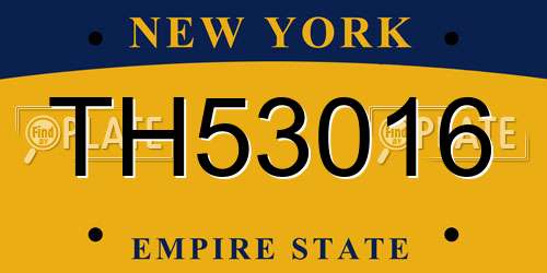 TH53016 New York License Plate