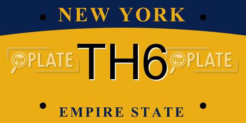 TH6 New York License Plate