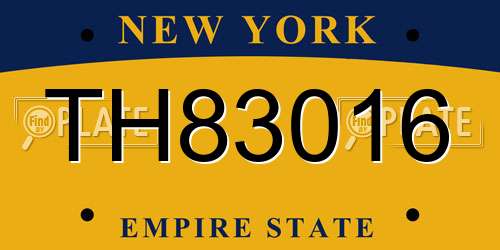 TH83016 New York License Plate