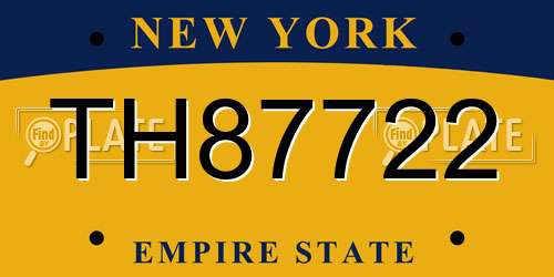 TH87722 New York License Plate