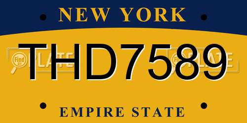 THD7589 New York License Plate