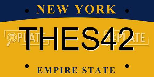 THES42 New York License Plate