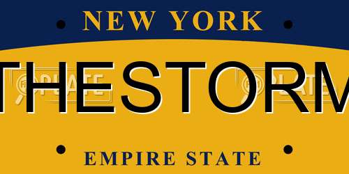 THESTORM New York License Plate