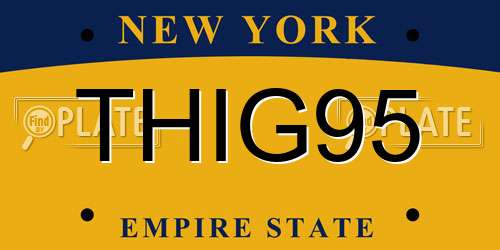 THIG95 New York License Plate