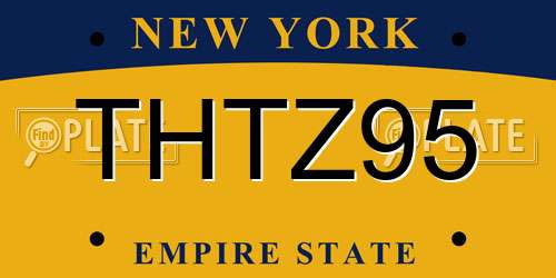 THTZ95 New York License Plate