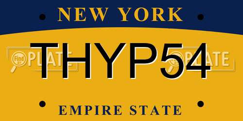THYP54 New York License Plate