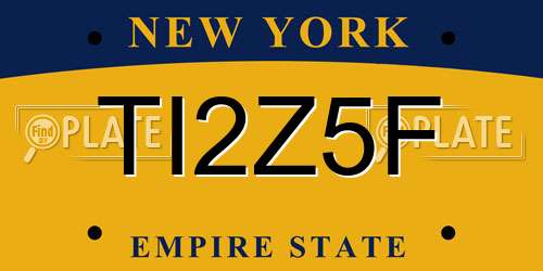 TI2Z5F New York License Plate