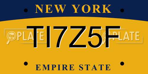 TI7Z5F New York License Plate