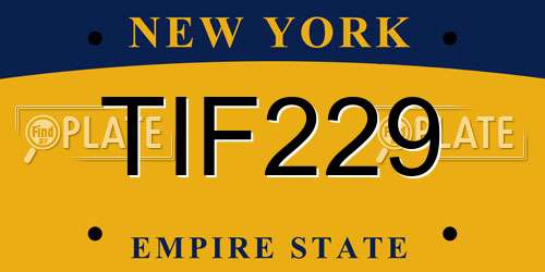 TIF229 New York License Plate