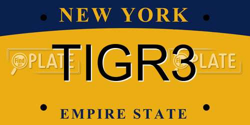 TIGR3 New York License Plate