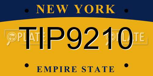 TIP9210 New York License Plate