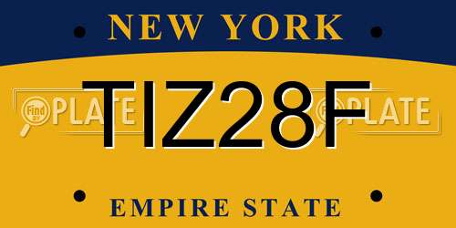 TIZ28F New York License Plate