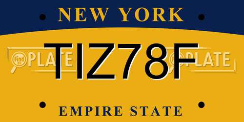 TIZ78F New York License Plate