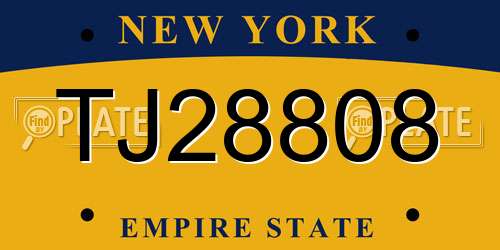 TJ28808 New York License Plate