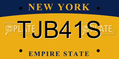 TJB41S New York License Plate