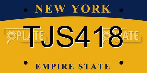 TJS418 New York License Plate