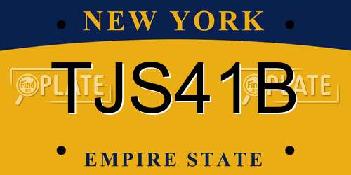 TJS41B New York License Plate
