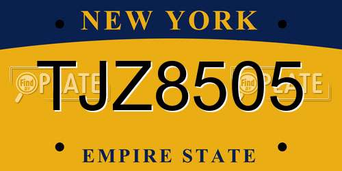 TJZ8505 New York License Plate
