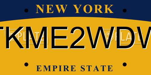 TKME2WDW New York License Plate