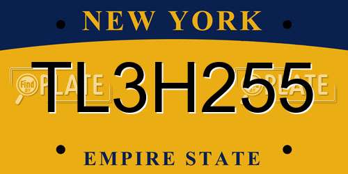 TL3H255 New York License Plate