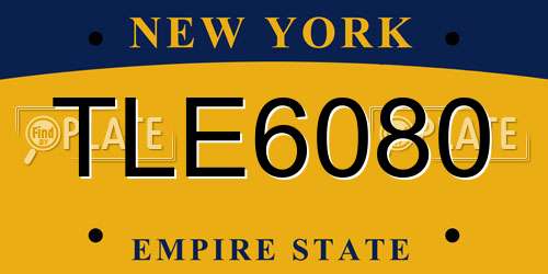 TLE6080 New York License Plate