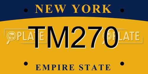 TM270 New York License Plate