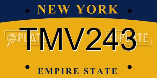 TMV243 New York License Plate
