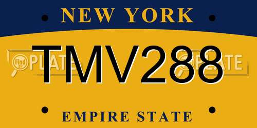 TMV288 New York License Plate
