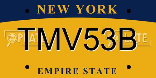 TMV53B New York License Plate