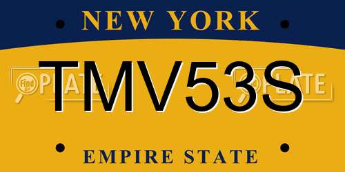 TMV53S New York License Plate