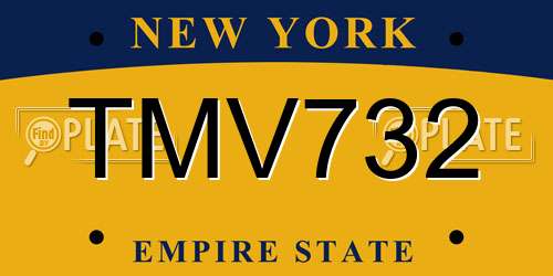 TMV732 New York License Plate