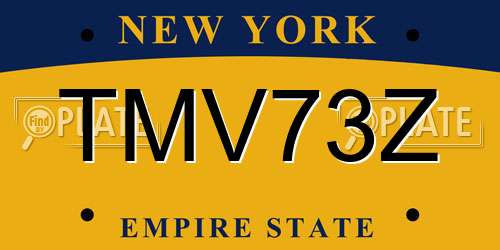 TMV73Z New York License Plate