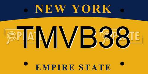 TMVB38 New York License Plate