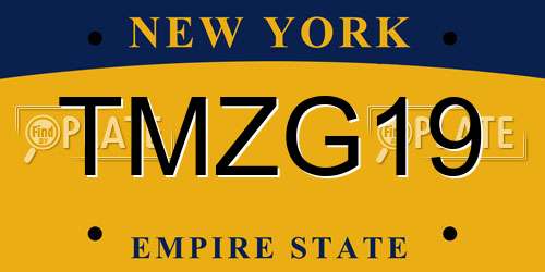 TMZG19 New York License Plate