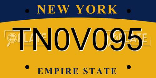 TN0V095 New York License Plate