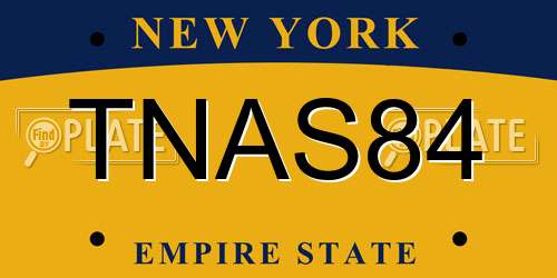 TNAS84 New York License Plate