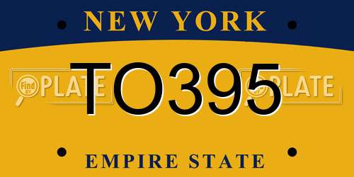 TO395 New York License Plate