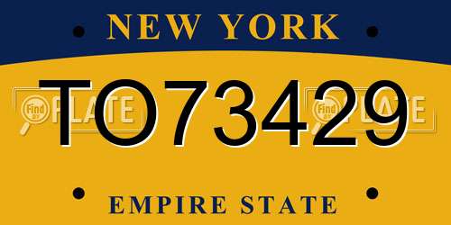 TO73429 New York License Plate