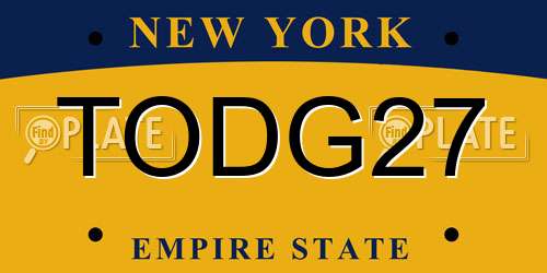 TODG27 New York License Plate