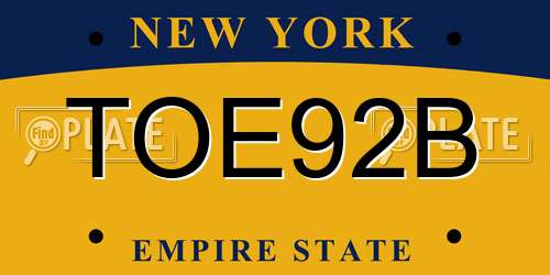 TOE92B New York License Plate