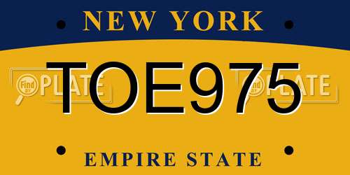 TOE975 New York License Plate