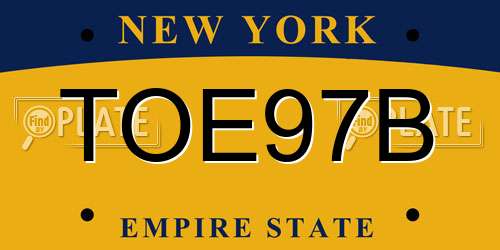 TOE97B New York License Plate