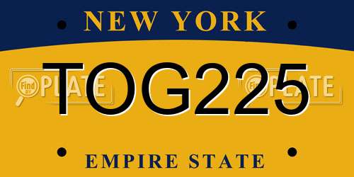 TOG225 New York License Plate