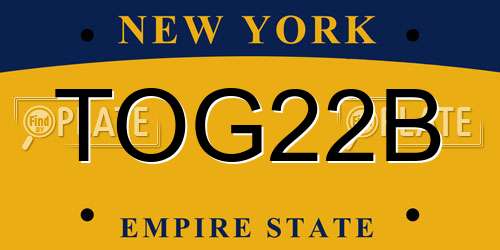 TOG22B New York License Plate