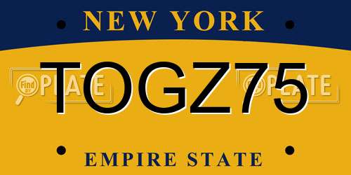 TOGZ75 New York License Plate