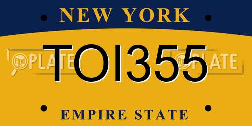 TOI355 New York License Plate