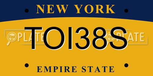 TOI38S New York License Plate