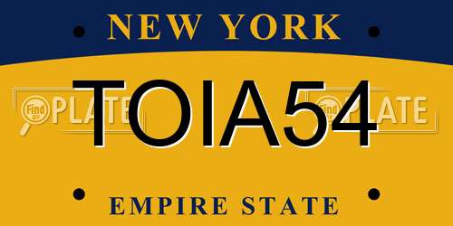 TOIA54 New York License Plate